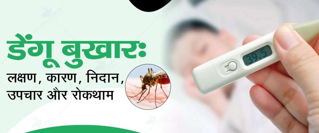हरिद्वार जिले में डेंगू को लेकर स्वास्थ्य विभाग अलर्ट, जागरूकता अभियान किया तेज, 27 रैपिड टेस्ट में एक पॉजिटिव